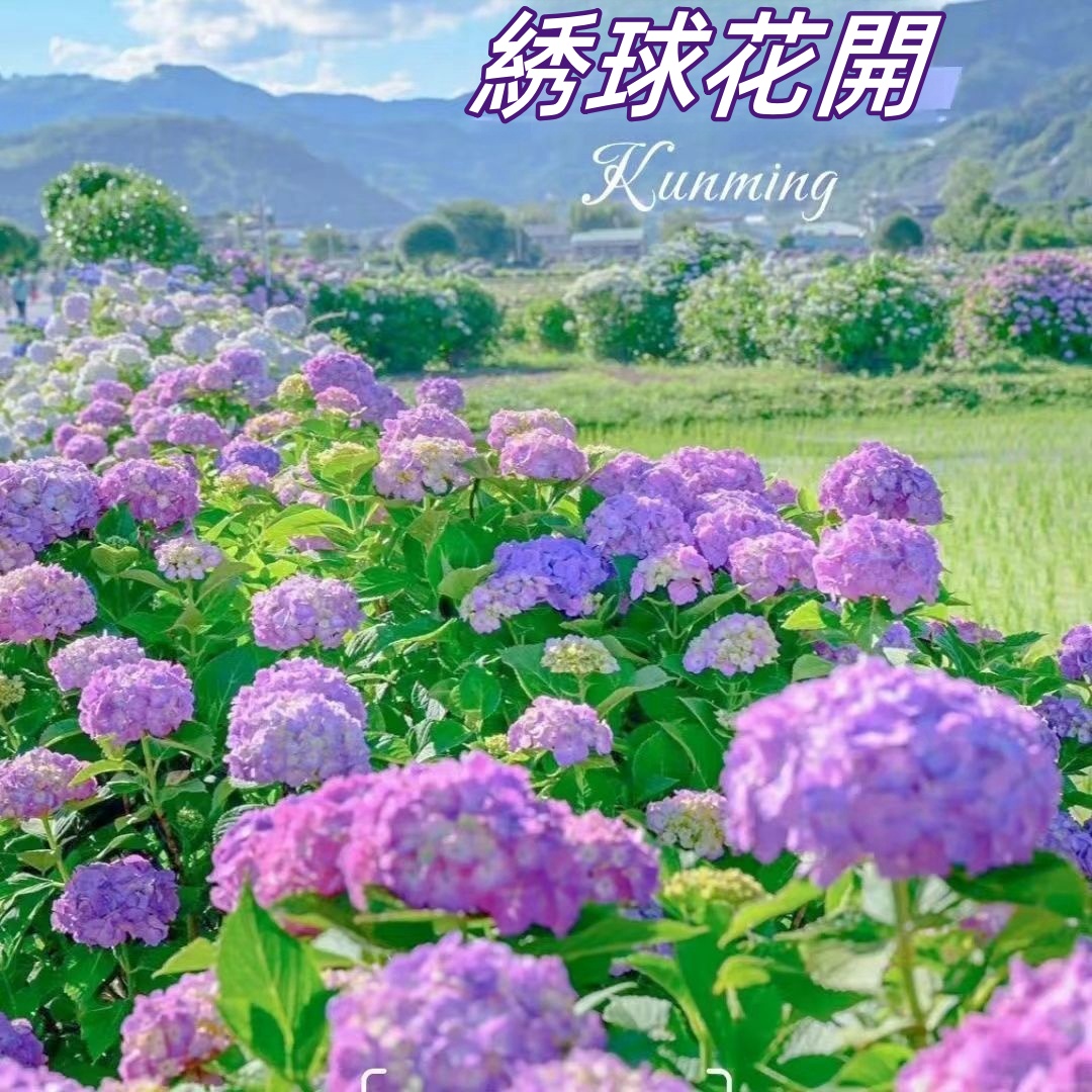 20240702_143610_148.jpg