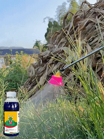 cdf20fedf6c91725249cabdcea3f6d41.gif