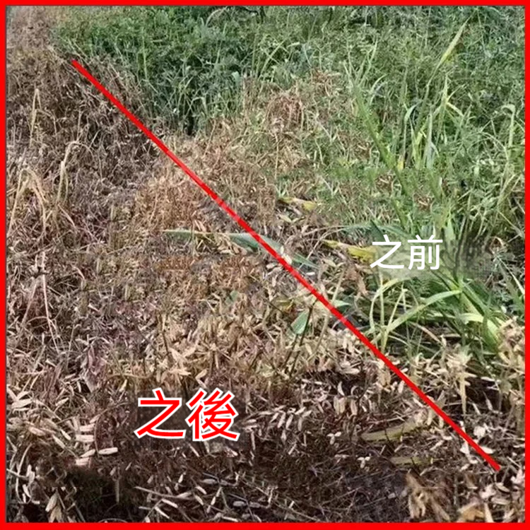 2230c748002a15af3d07929fa29dacee.jpg