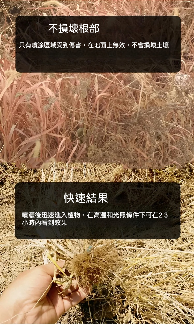 9eae95f38b1050afb6d3404256a6ab5b.jpg