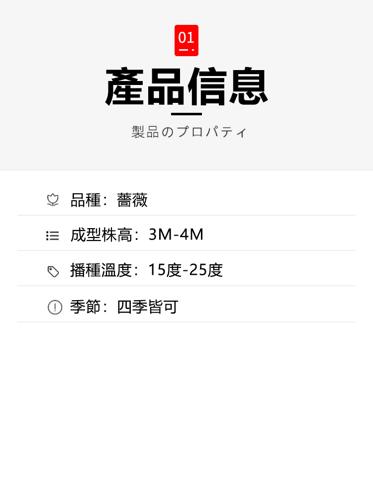 蔷薇花种子详情图8.png