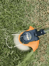 10.gif